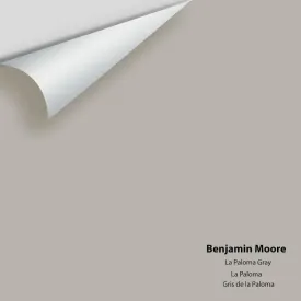 Benjamin Moore - La Paloma Gray 1551 Colour Sample