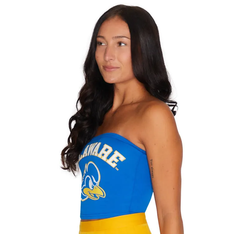 Delaware Blue Tube Top