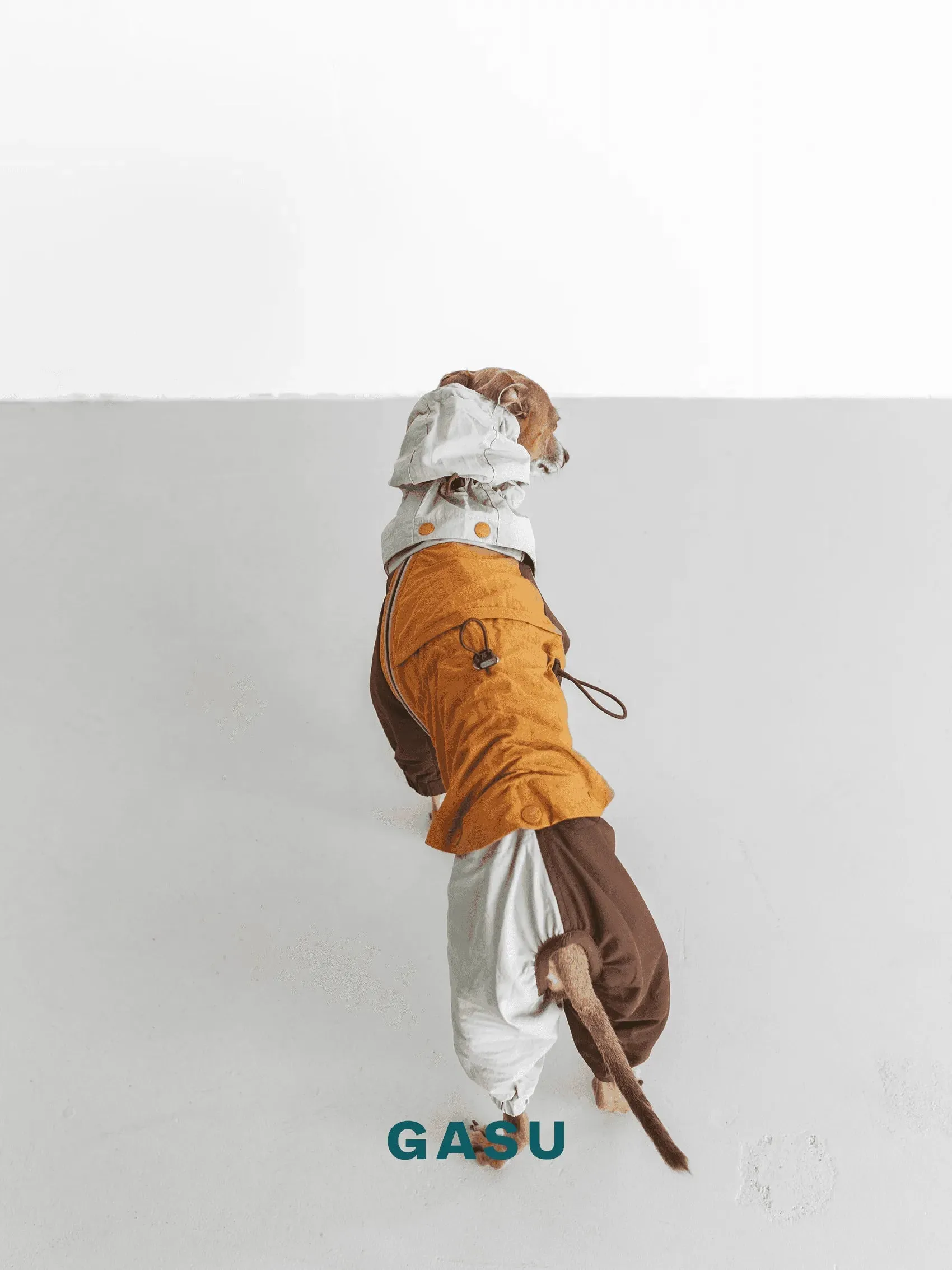 Detachable 4-Leg Dog Raincoat | Mint Toffee