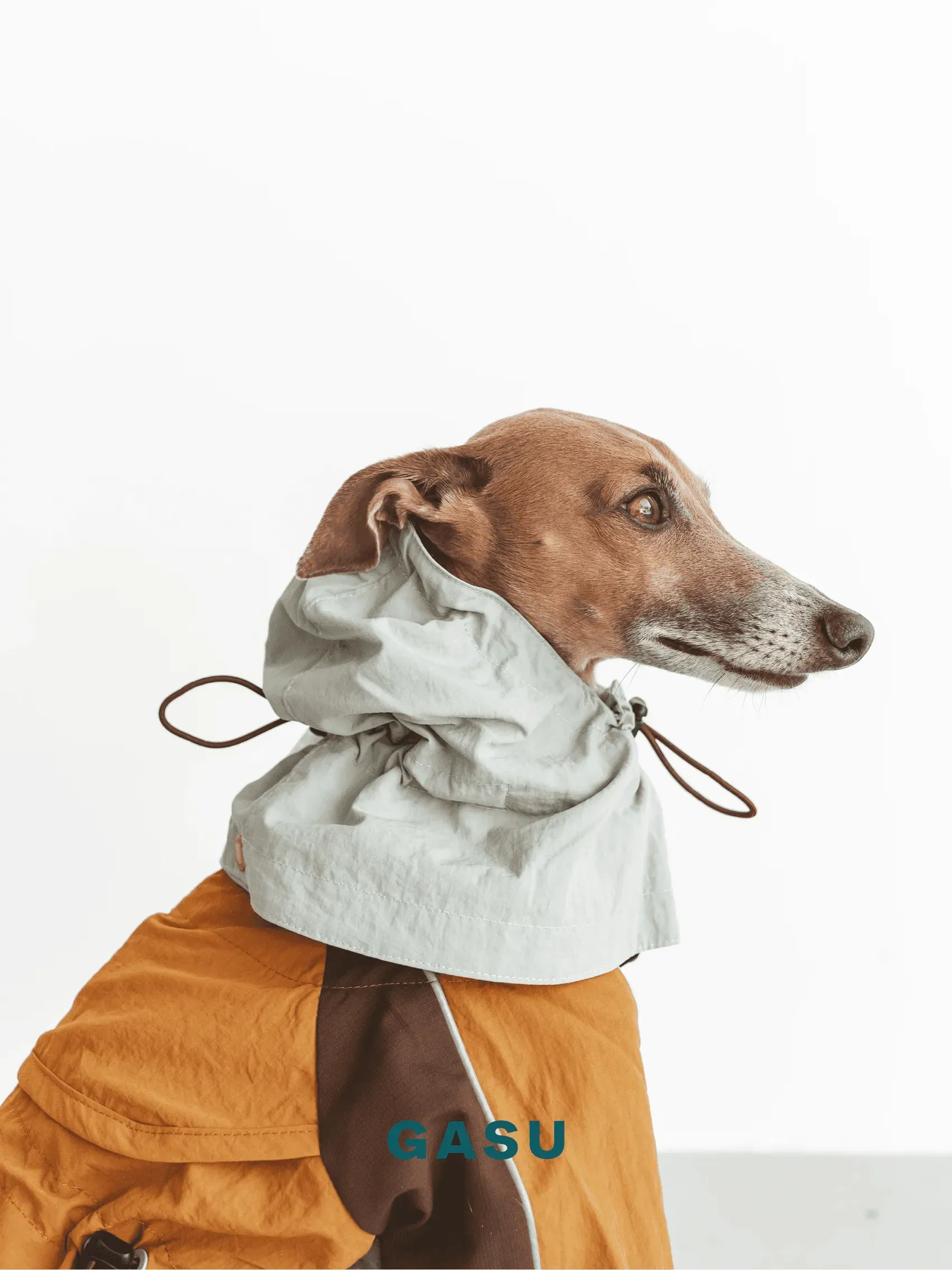 Detachable 4-Leg Dog Raincoat | Mint Toffee