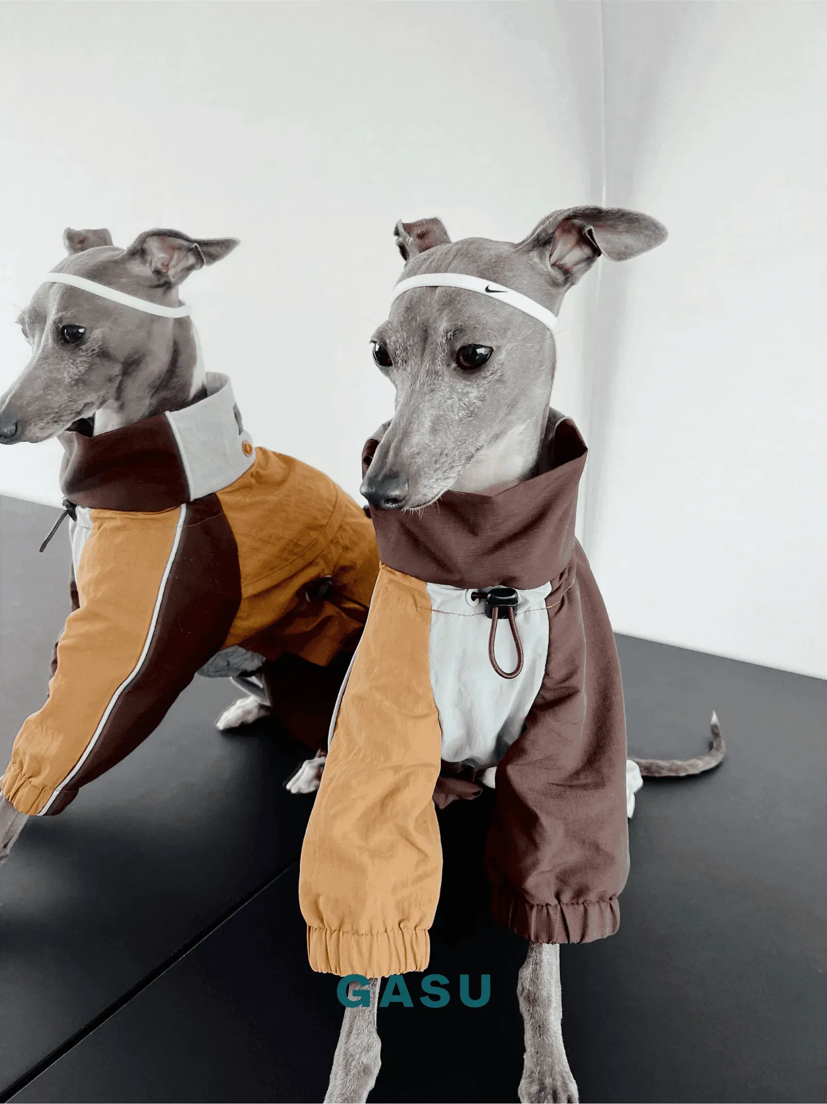 Detachable 4-Leg Dog Raincoat | Mint Toffee