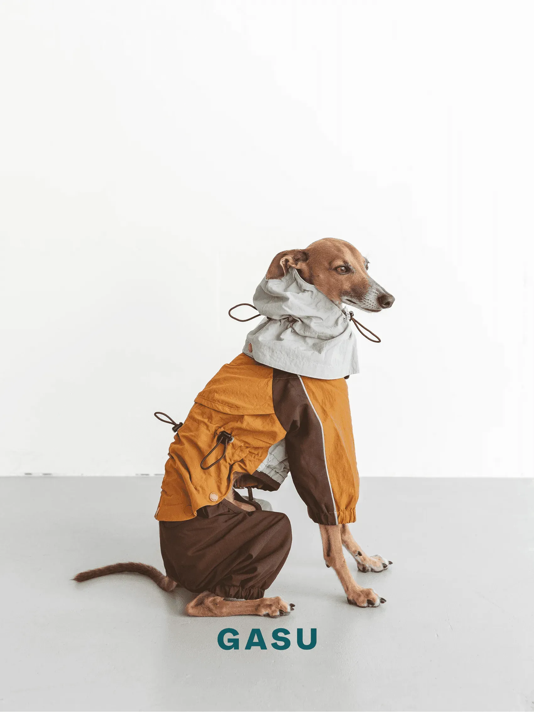 Detachable 4-Leg Dog Raincoat | Mint Toffee