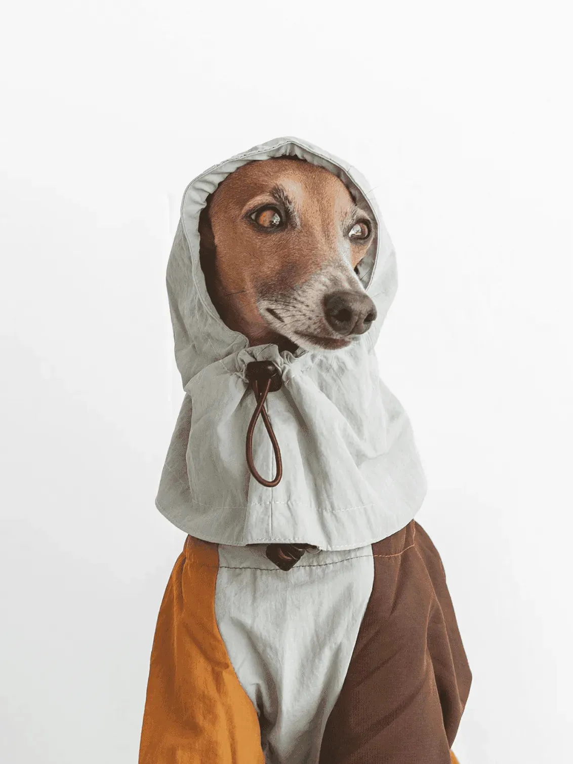 Detachable 4-Leg Dog Raincoat | Mint Toffee