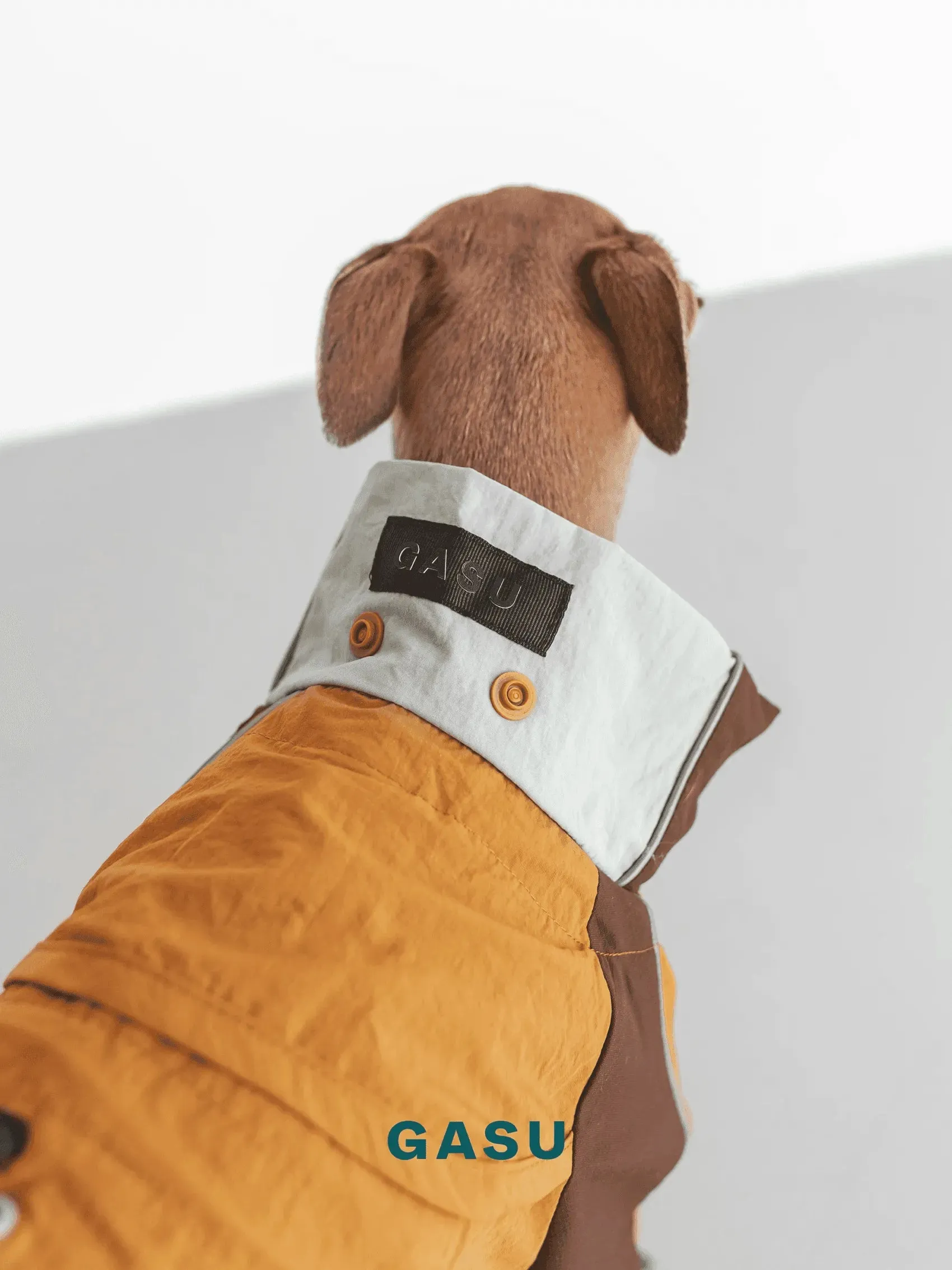 Detachable 4-Leg Dog Raincoat | Mint Toffee