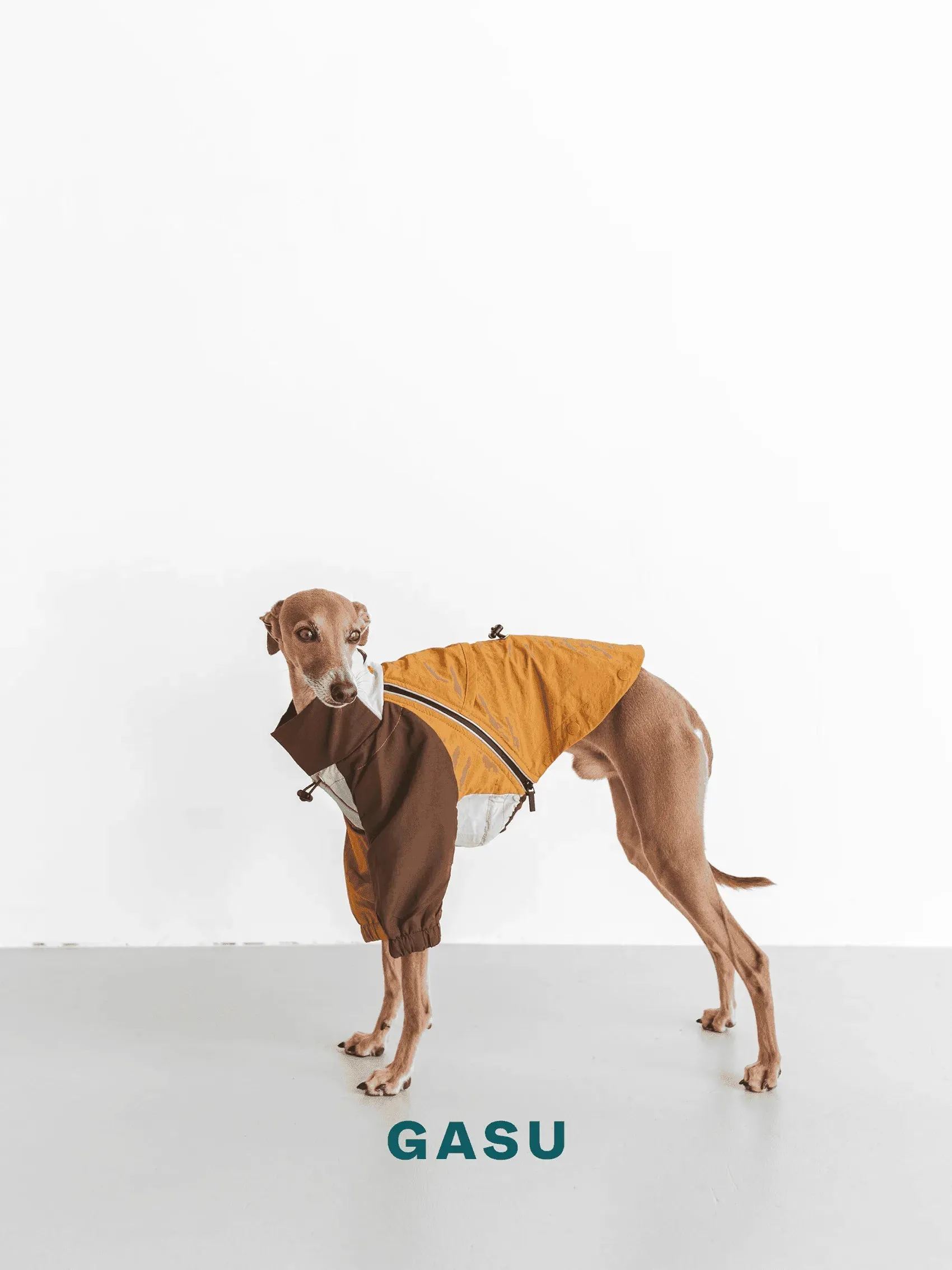 Detachable 4-Leg Dog Raincoat | Mint Toffee