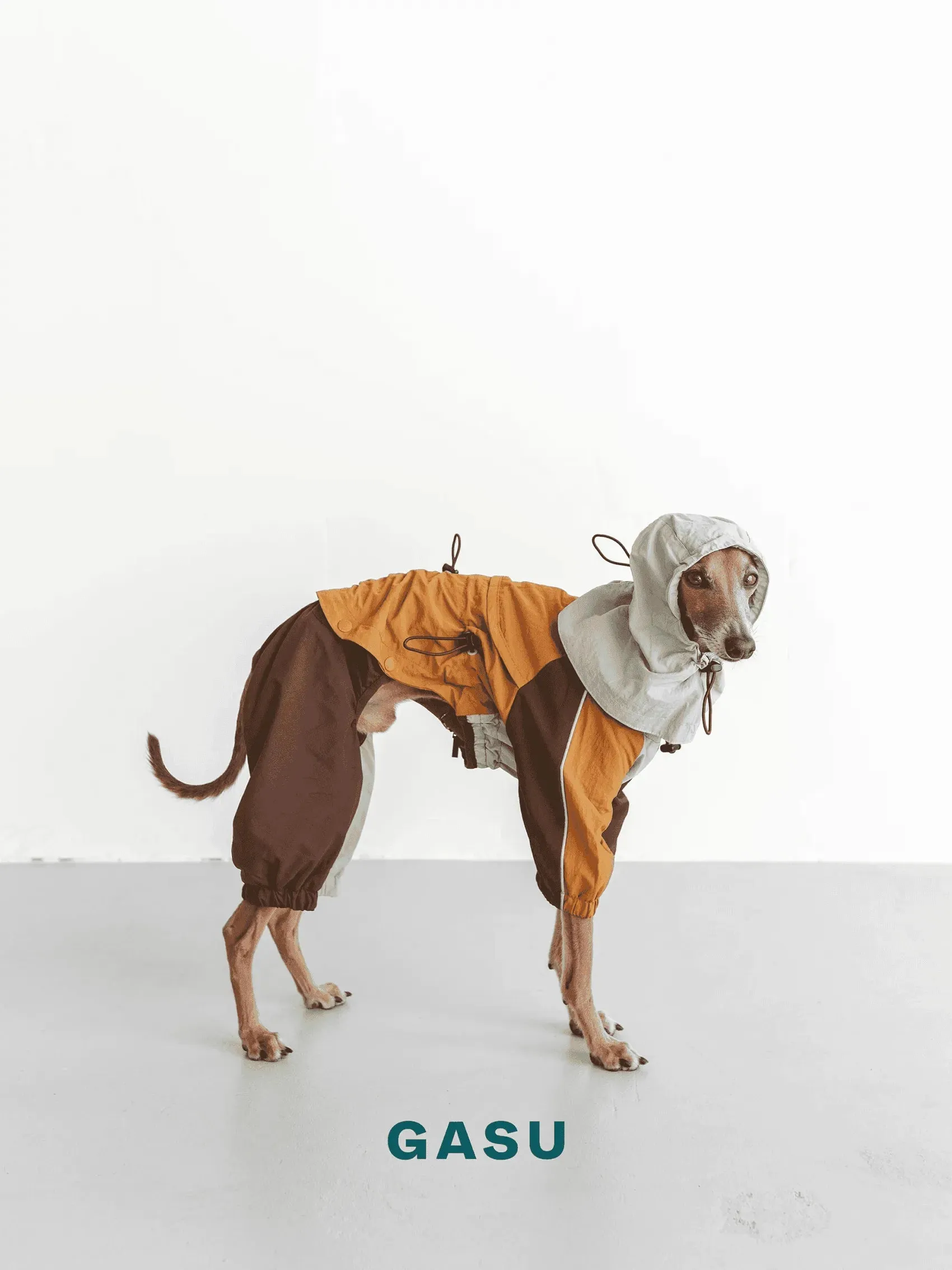 Detachable 4-Leg Dog Raincoat | Mint Toffee