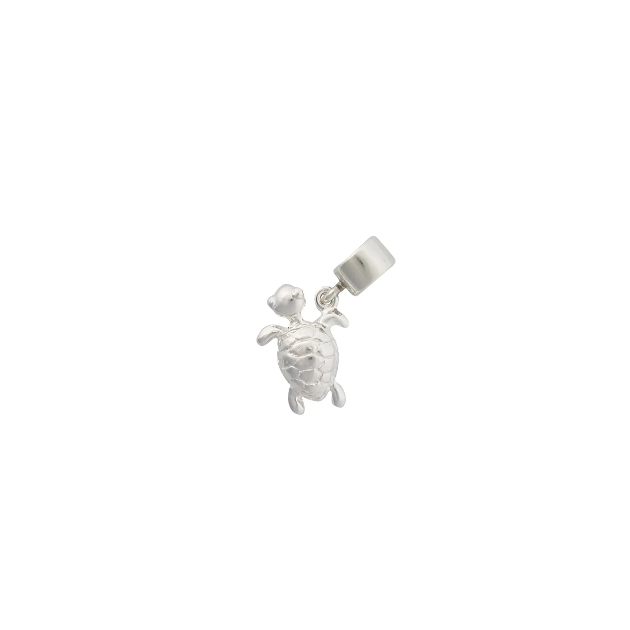 Friends ~ Turtle (Small) Charm