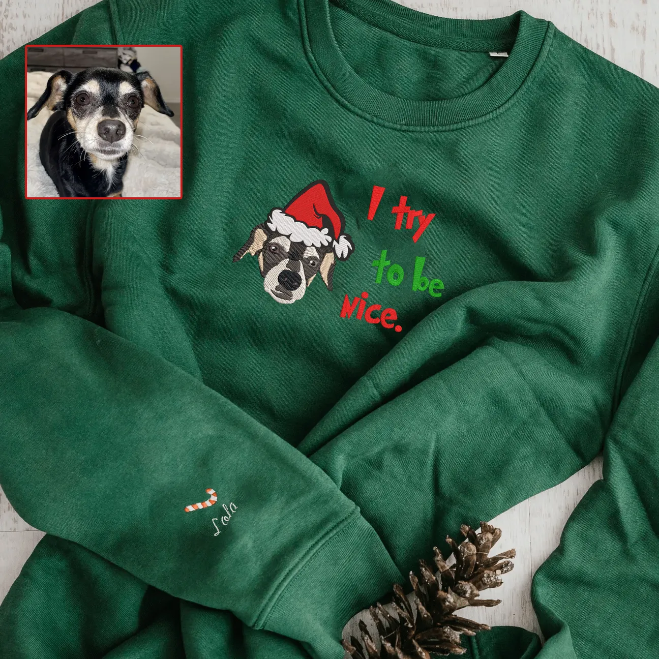 Personalized Embroidered Christmas I Try To Be Nice Pet Dog Cat Hoodie Sweatshirt T-Shirt