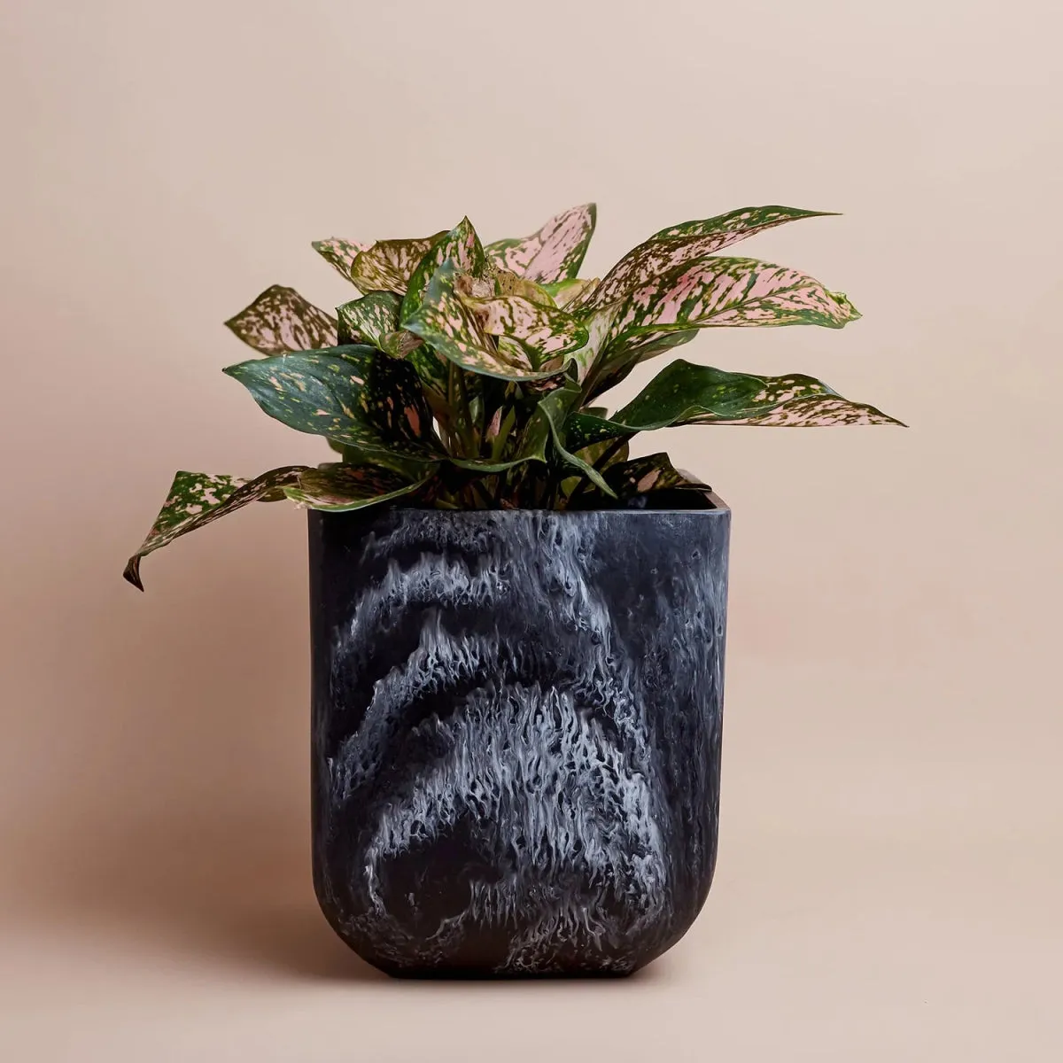 Saarde Flow Resin Bin/Planter in Ash Black