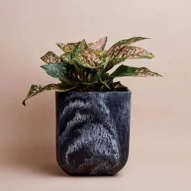 Saarde Flow Resin Bin/Planter in Ash Black